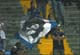 Bandierina empolese (sportpeople.net)